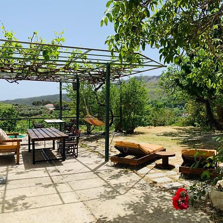 Temenia House Villa Dış mekan fotoğraf