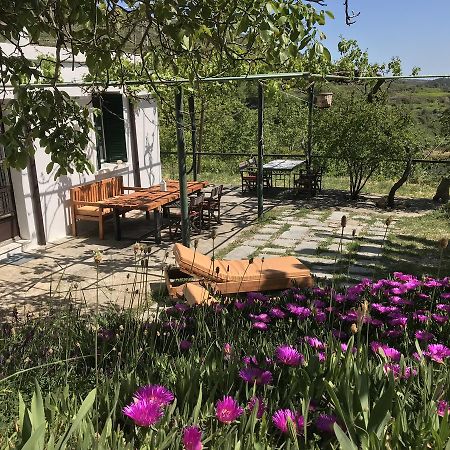 Temenia House Villa Dış mekan fotoğraf