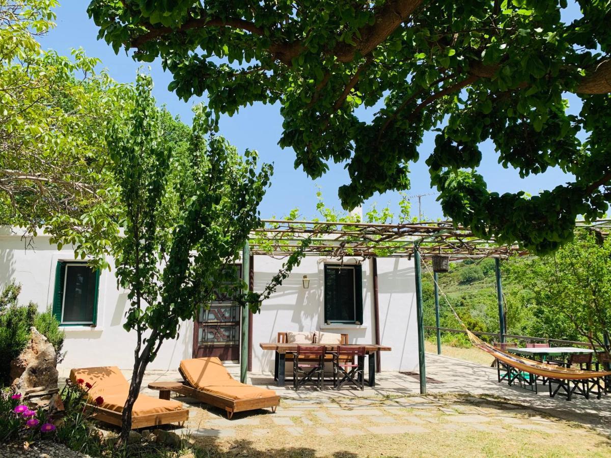 Temenia House Villa Dış mekan fotoğraf