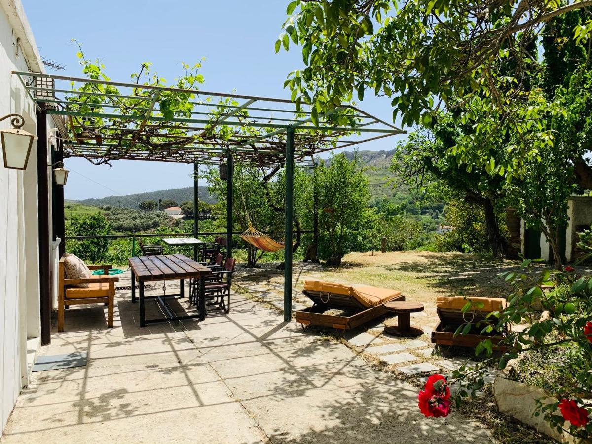 Temenia House Villa Dış mekan fotoğraf