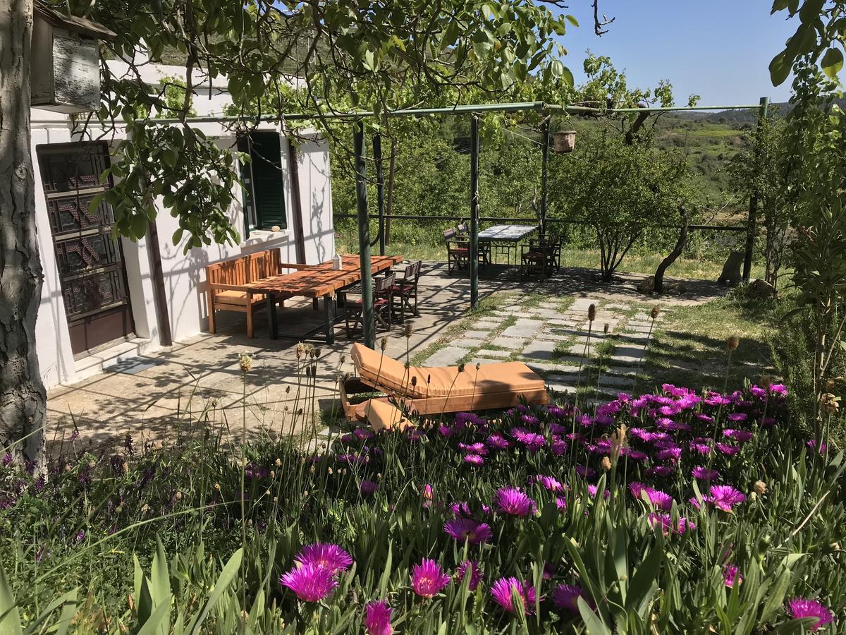 Temenia House Villa Dış mekan fotoğraf