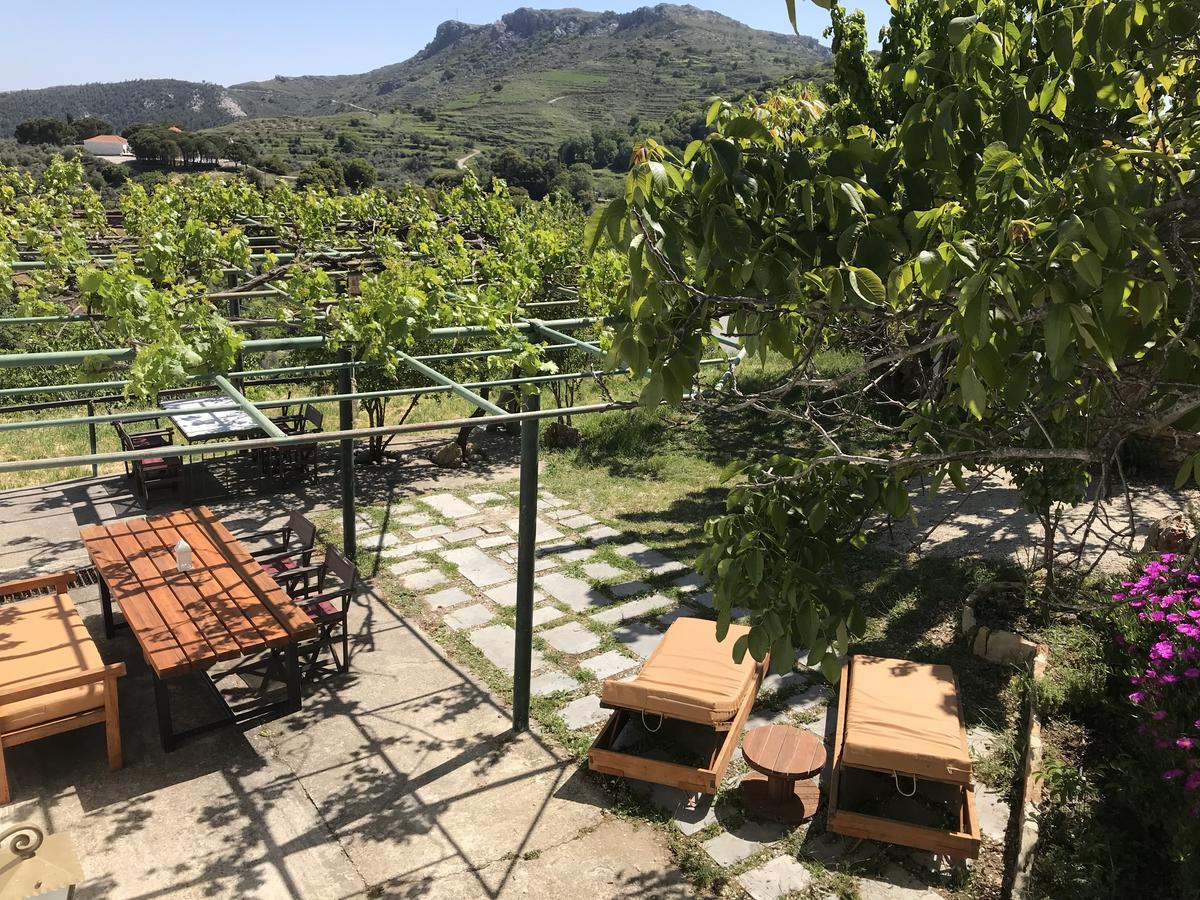 Temenia House Villa Dış mekan fotoğraf