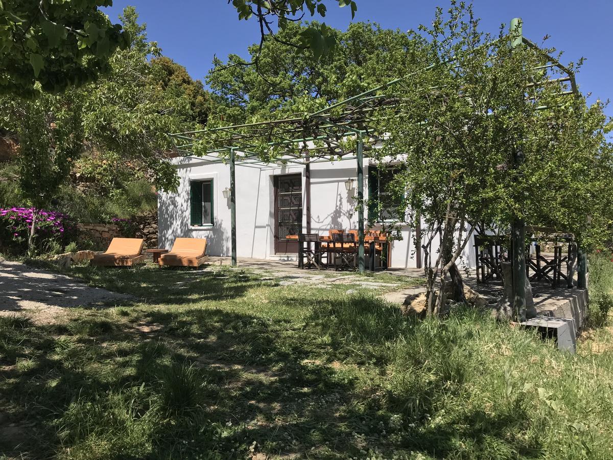 Temenia House Villa Dış mekan fotoğraf