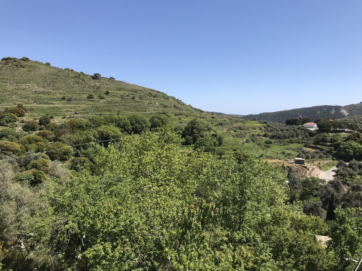 Temenia House Villa Dış mekan fotoğraf