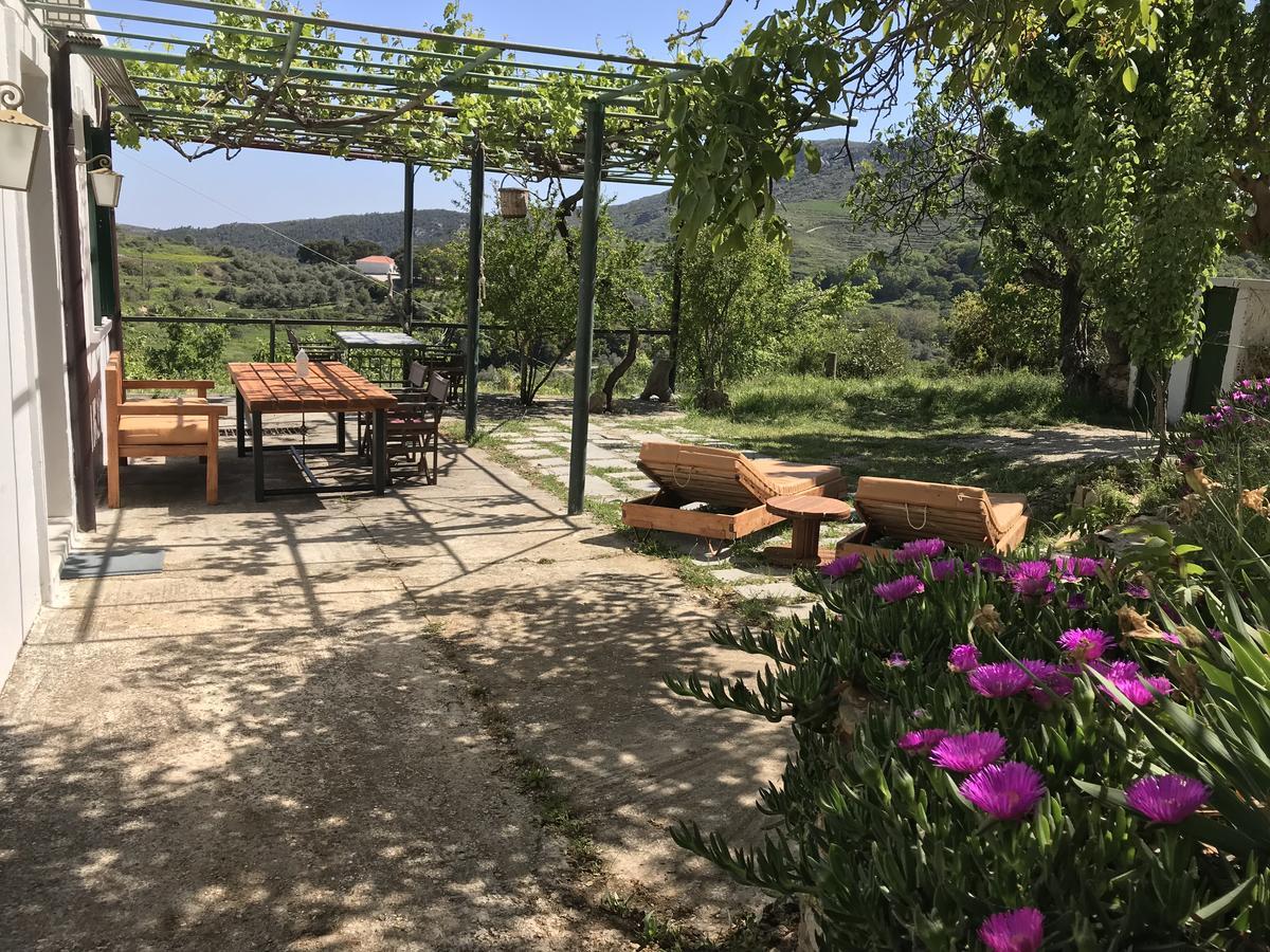 Temenia House Villa Dış mekan fotoğraf