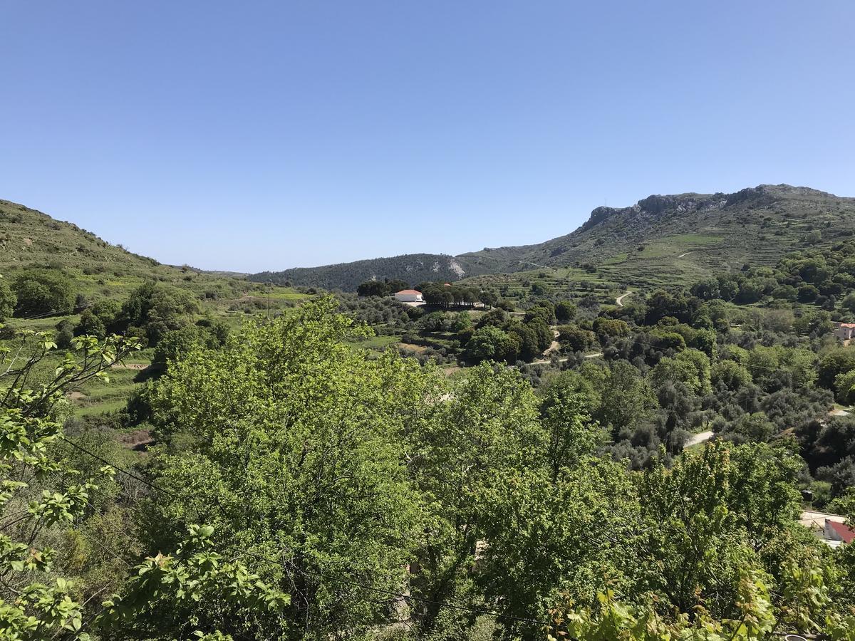 Temenia House Villa Dış mekan fotoğraf